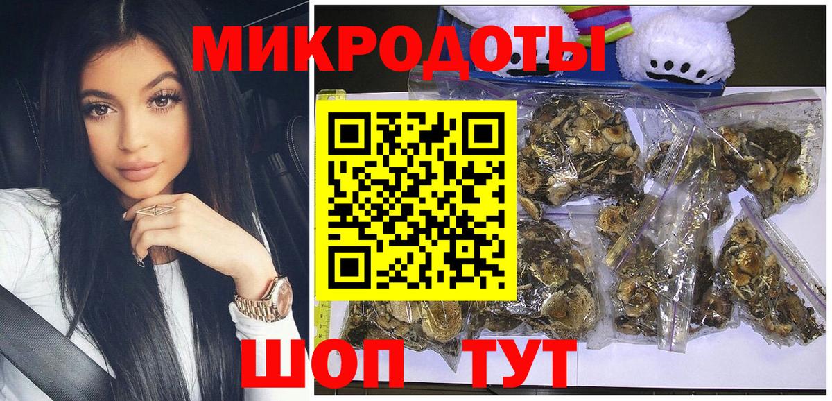 Псилоцибиновые грибы мицелий Зеленокумск