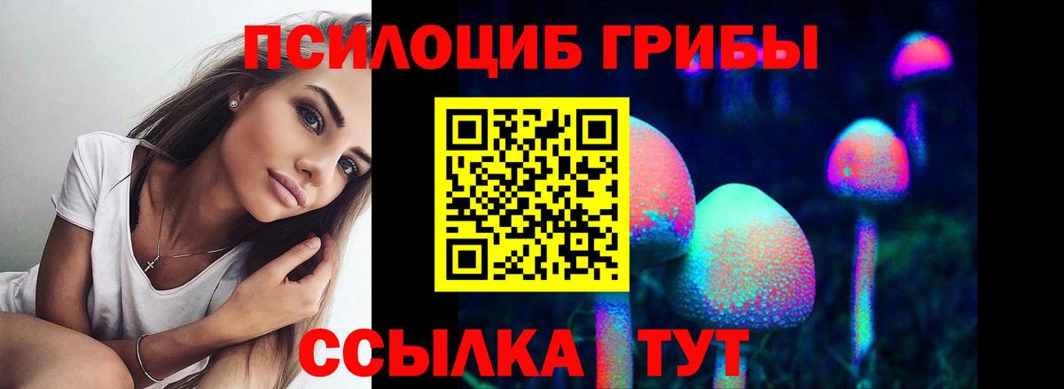 Зеленокумск  Псилоцибиновые грибы мицелий  Вход с VPN 